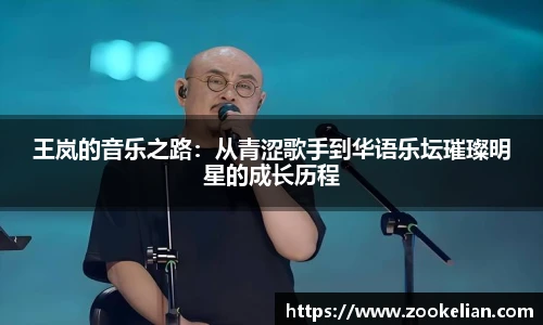 王岚的音乐之路：从青涩歌手到华语乐坛璀璨明星的成长历程